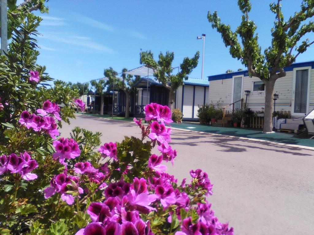 Camping Y Bungalows Monmar Moncófar Dış mekan fotoğraf