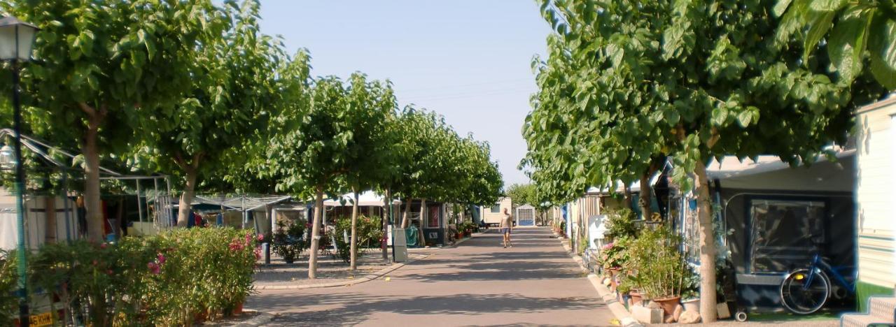 Camping Y Bungalows Monmar Moncófar Dış mekan fotoğraf